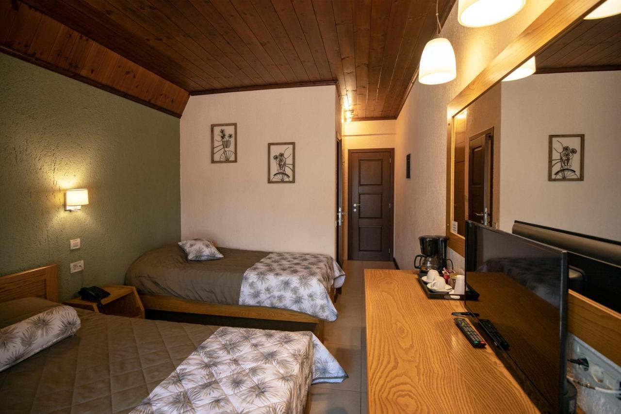 Asimina Guesthouse, Eptalofos Parnassos מראה חיצוני תמונה