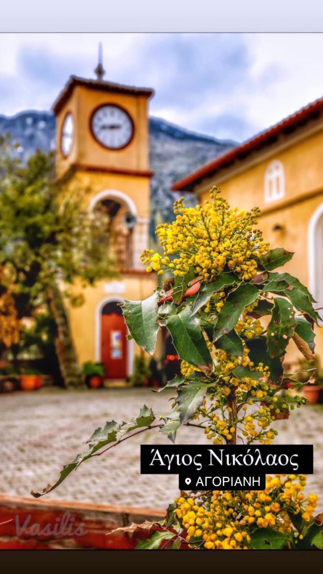 Asimina Guesthouse, Eptalofos Parnassos מראה חיצוני תמונה