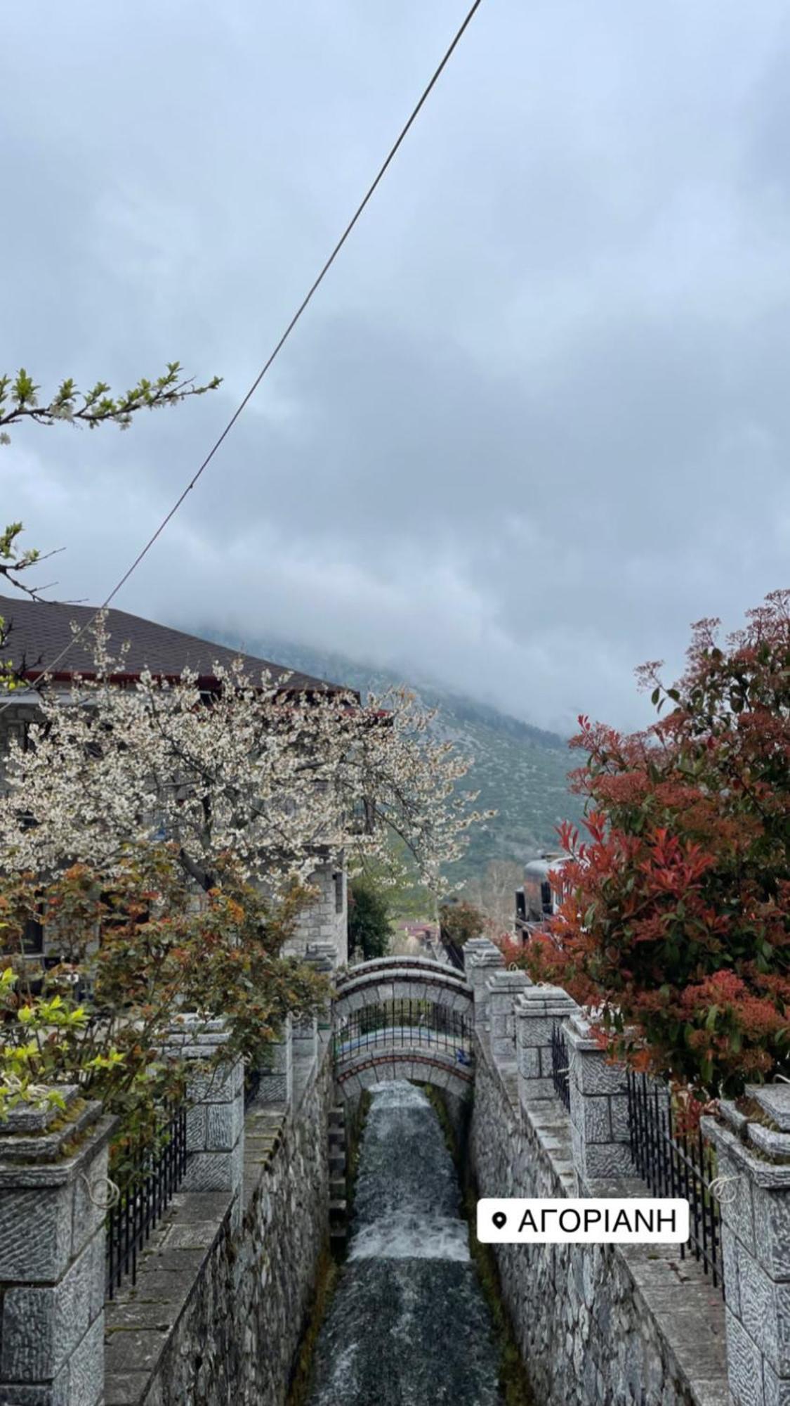 Asimina Guesthouse, Eptalofos Parnassos מראה חיצוני תמונה