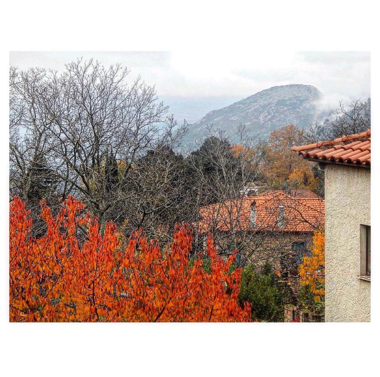 Asimina Guesthouse, Eptalofos Parnassos מראה חיצוני תמונה