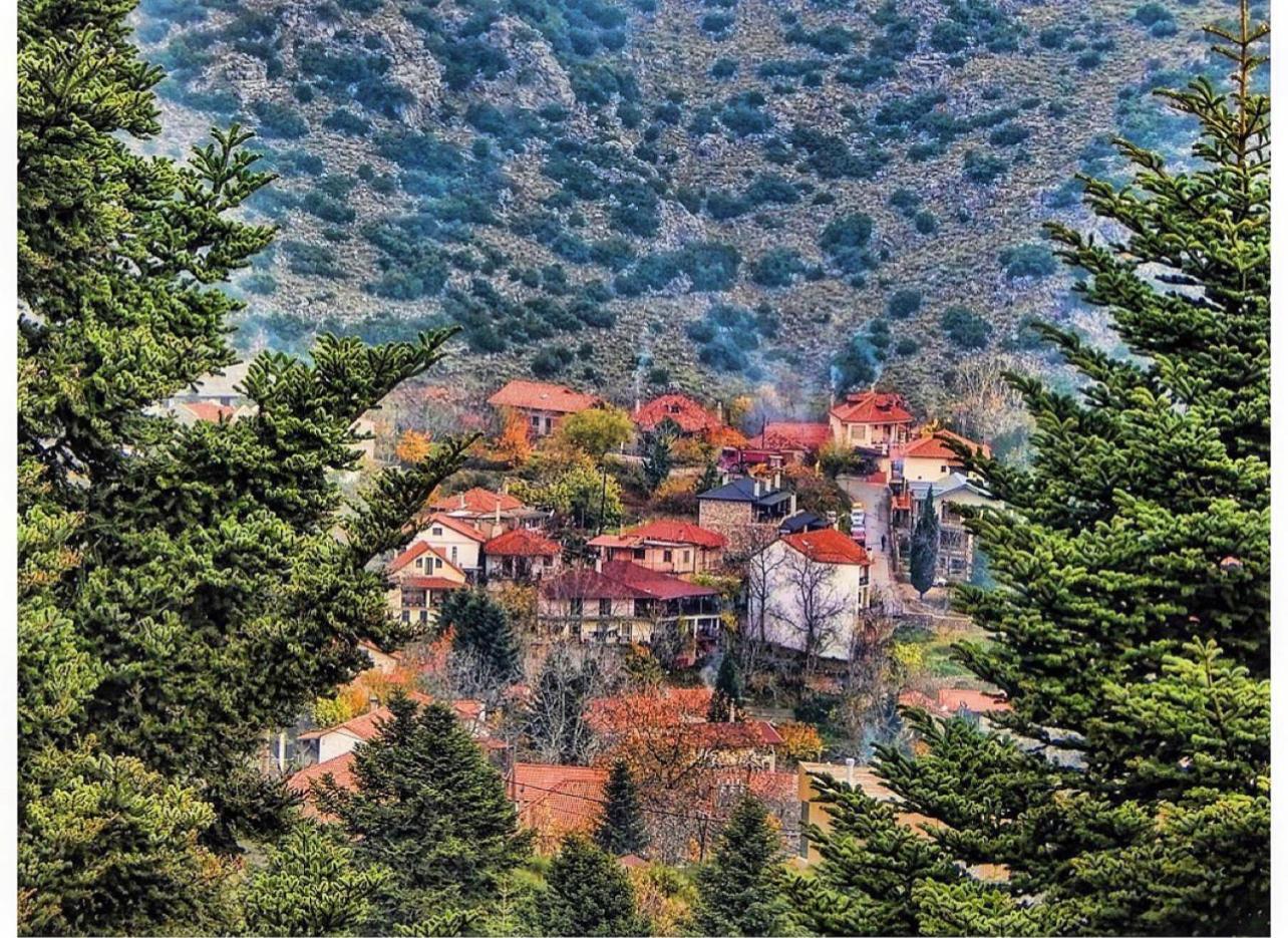 Asimina Guesthouse, Eptalofos Parnassos מראה חיצוני תמונה